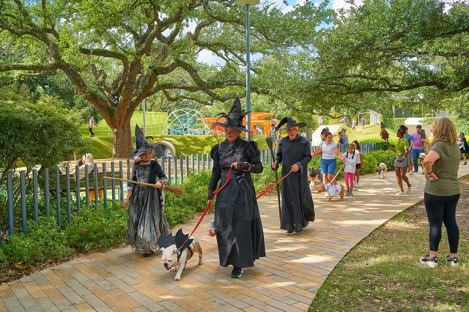 Levy Park Houston Halloween Pet Dog Friendly Event