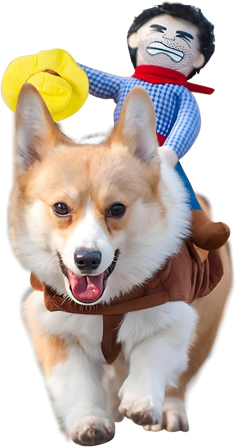 Cowboy Rider Dog Puppy Halloween Costume in Kansas City