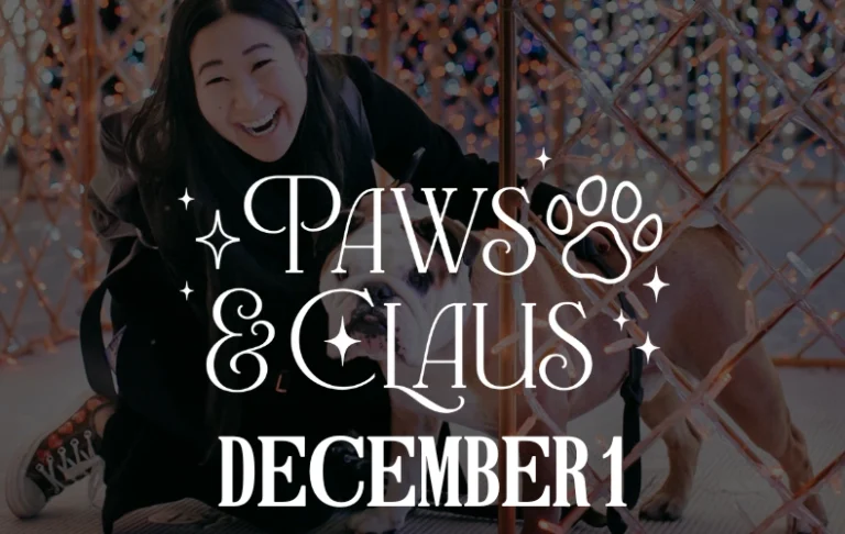 Dog pet friendly christmas holiday event dallas dfw arlington