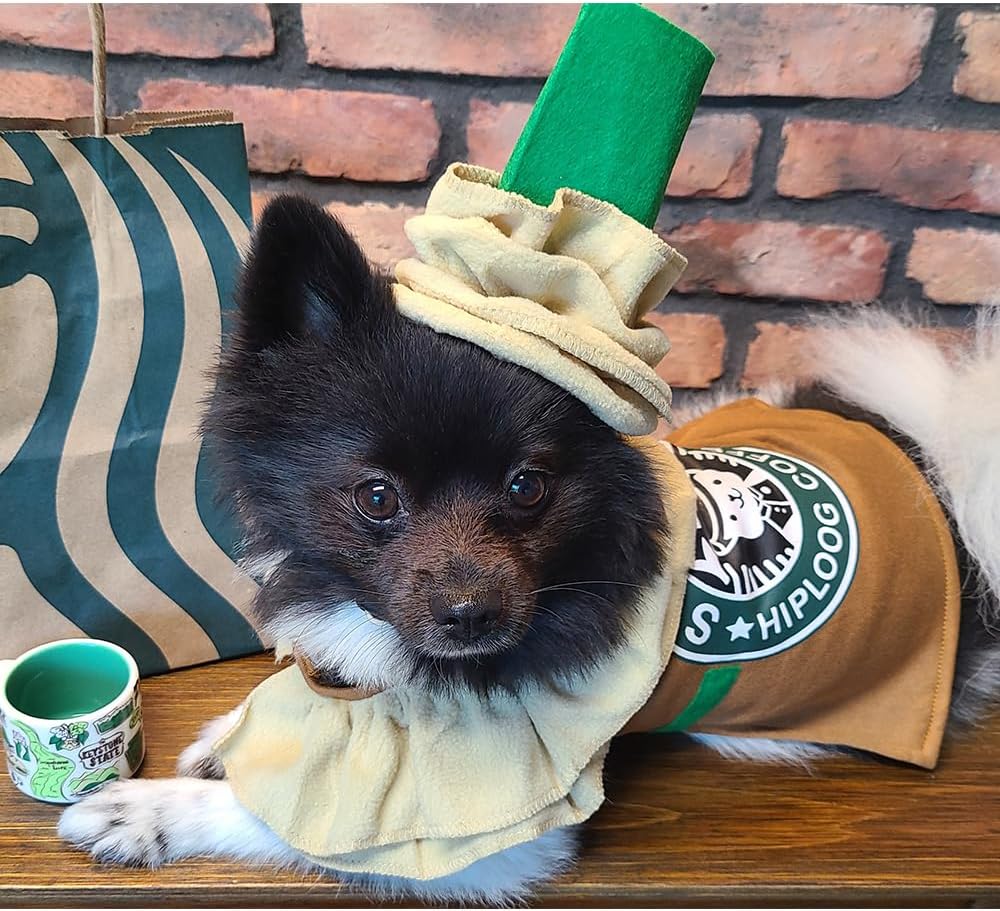 Halloween Starbucks dog puppy costume