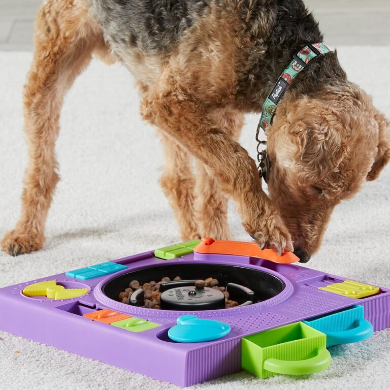 Dog puzzle toy enrichment idea for puppy