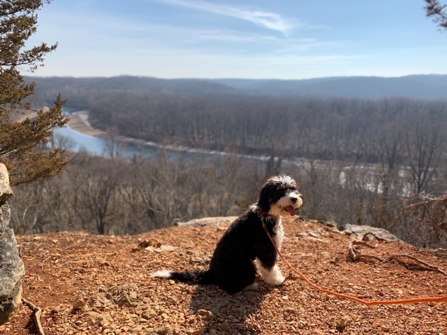 Dog-friendly hikes at Castlewood State Park
