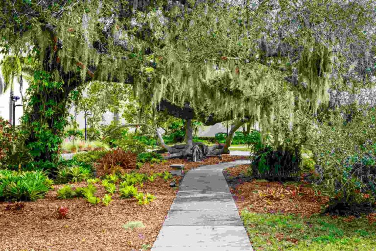 Park in Sarasota. Sarasota's Dog-Friendly Hiking Trails