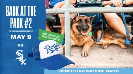 Kansas City, United States. 19th Apr, 2022. Fans and dogs enjoy some  pregame food during Bark at the Park Night before the Minnesota Twins take  on the Kansas City Royals at Kauffman