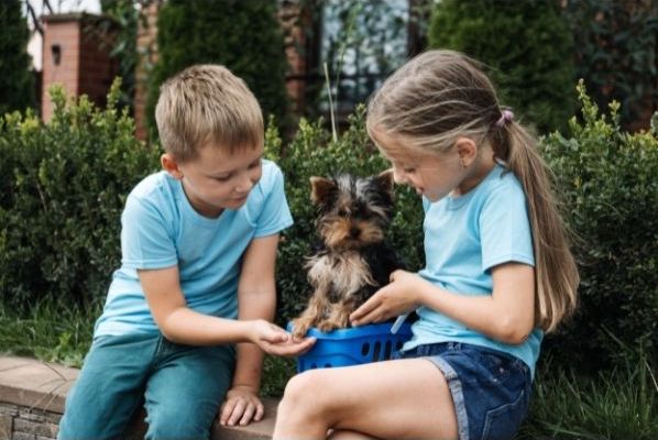 Children Interacting with a Puppy