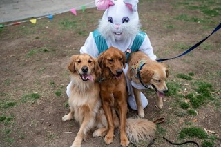 Downtown Dallas Easter Bacon & Egg Hunt 2023