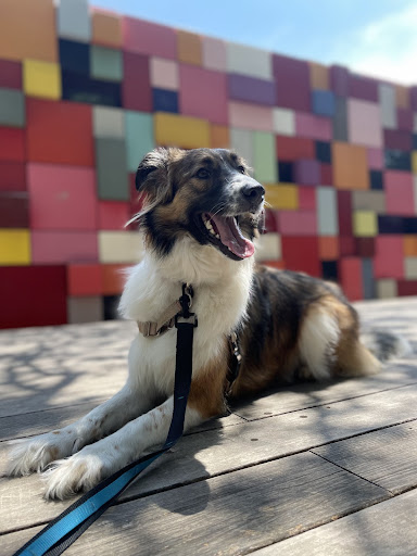 Discovery Green Urban Park