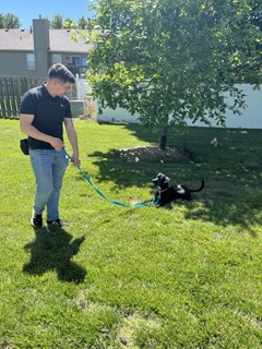 Certified Behavior Consultant Canine