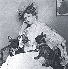 French Bulldog History