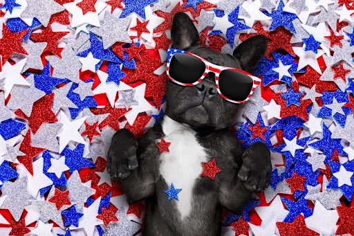 how to keep you dog safe on the fourth of July