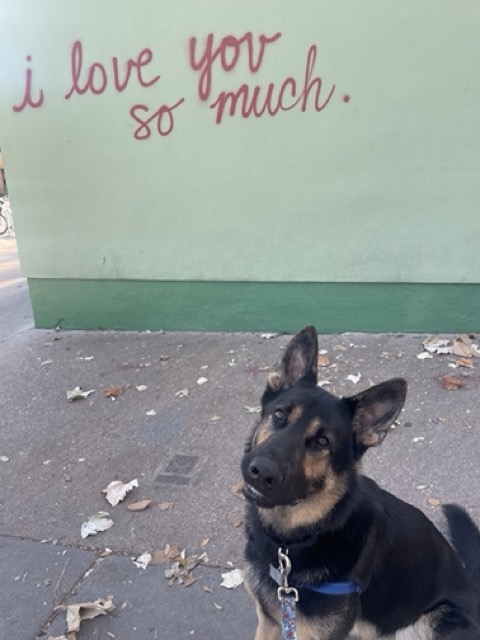 Dog sitting in front of ilove you so much mural in Austin