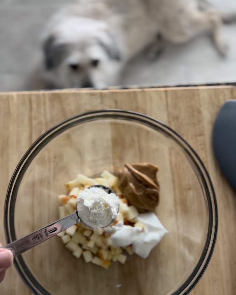 Dog working on down stay while cooking