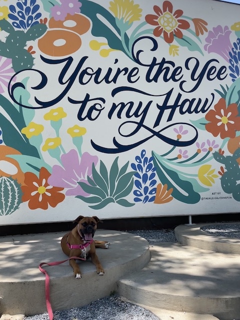 Austin mural photo with your dog