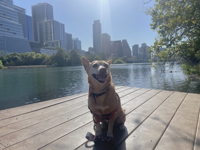 Austin skyline