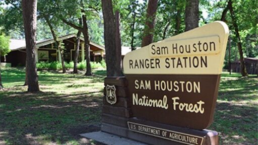 Sam Houston National Forest
