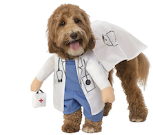 dog doctor halloween costume