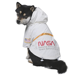 nasa dog halloween costume