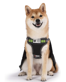 Shiba inu in darth vader dog costume halloween