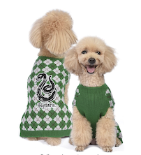Doodle in slytherin harry potter sweater halloween dog costume