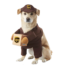 ups dog halloween costume