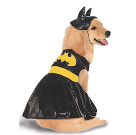 Batwoman dog costume golden retriever puppy halloween
