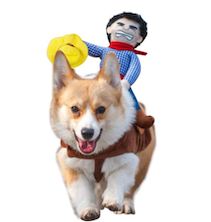 cowboy rider dog halloween costume