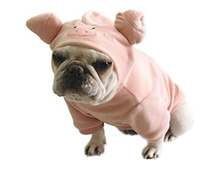 Frenchie in pig dog costume halloween