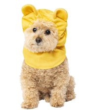 doodle in winnie the pooh dog costume halloween