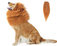 lion dog halloween costume