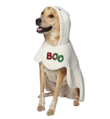 dog ghost halloween costume