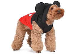 Air dale in mickey mouse dog halloween costume