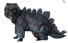 Stegasaurus dog costume pug halloween