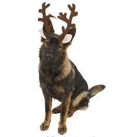 reindeer dog halloween costume