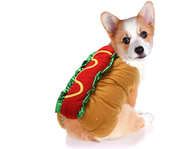 Hot dog dog halloween costume