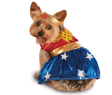 Wonder woman dog halloween costume