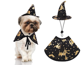 Witch or wizard dog costume