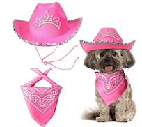 pink cowgirl barbie dog halloween costume