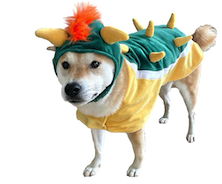 Dog in bowser mario halloween dog costume