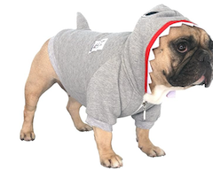 pug in dog shark halloween costume