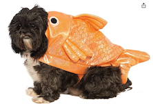 fish dog halloween costume