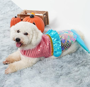 Mermaid dog halloween costume