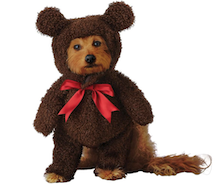 teddy bear dog halloween costume