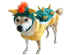 Bowser mario dog halloween costume