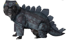 stegosaurus dog halloween dino costume
