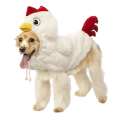 chicken dog halloween costume