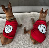 Thing 1 and Thing 2 halloween costume for dogs
