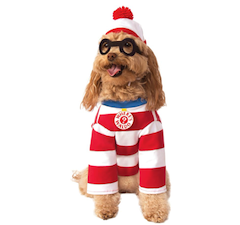 where's waldo dog halloween costume