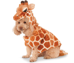 Doodle in a giraffe halloween costume
