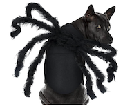 spider dog halloween costume