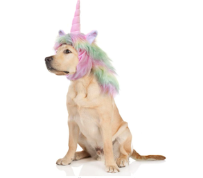 dog unicorn halloween costume